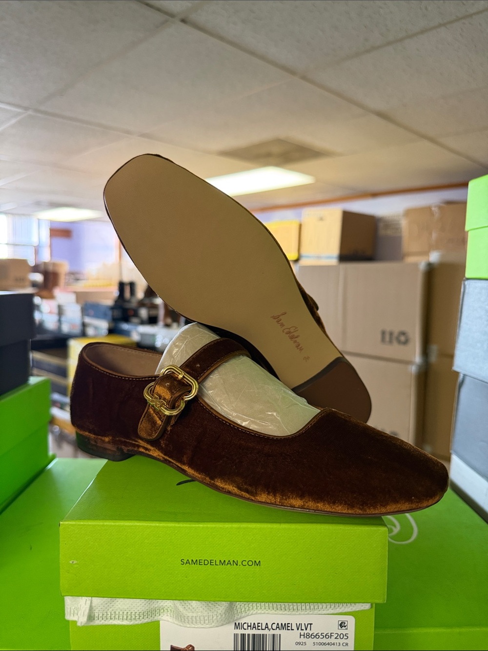 Sam Edelman Michaela Mary Jane Flat